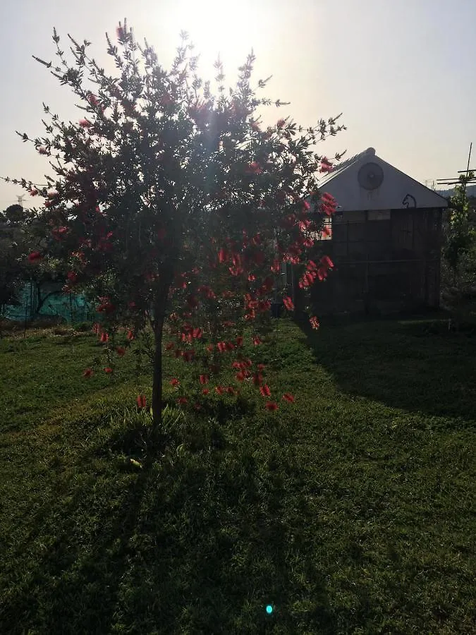 Casa Campo Ramos Villa Cartama